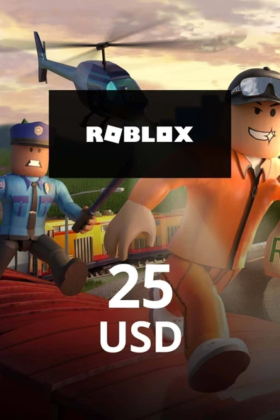 Gift Card 25 Usd 2000 ROBUX ürün görseli 1