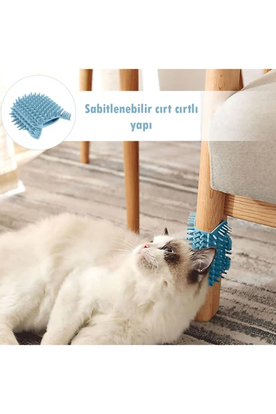 Evcil Hayvan Tüy Toplama Eldiveni & Kedi Köpek Silikon Masaj Tarağı 2'li Set - 7