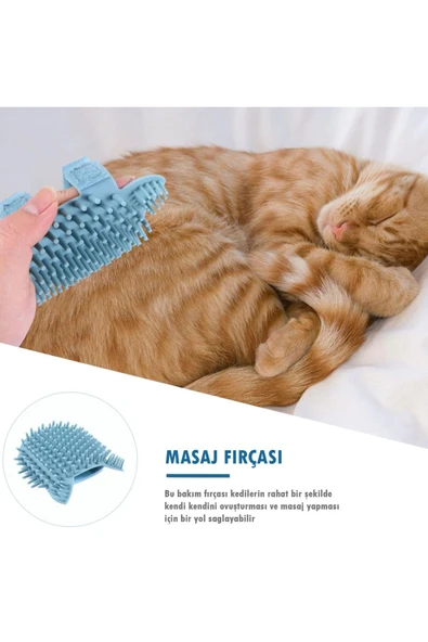 Evcil Hayvan Tüy Toplama Eldiveni & Kedi Köpek Silikon Masaj Tarağı 2'li Set - 6