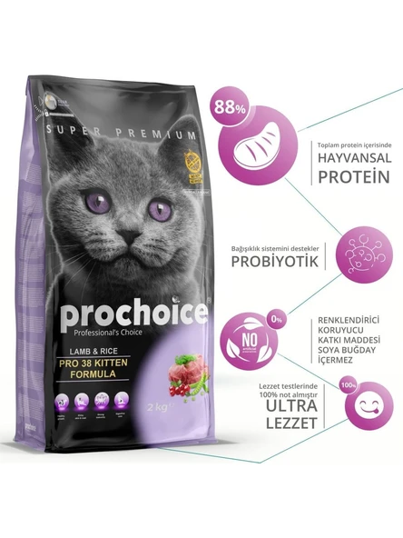 Pro Choice Pro 38 Kitten Kuzu Etli Yavru Kedi Maması 2 Kg ürün görseli