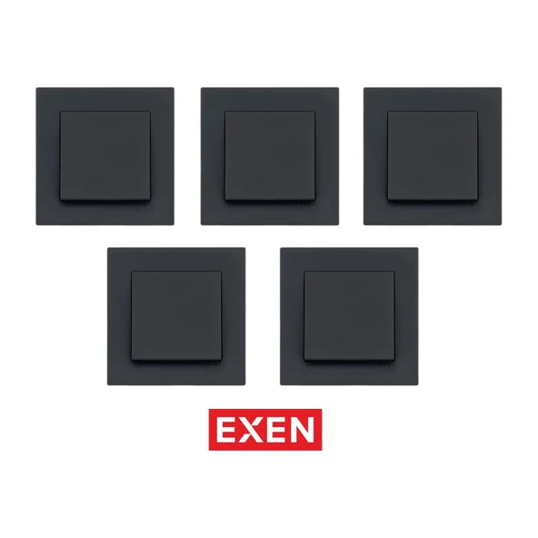Exen Karell Füme Anahtar (5ADET) ürün görseli 1