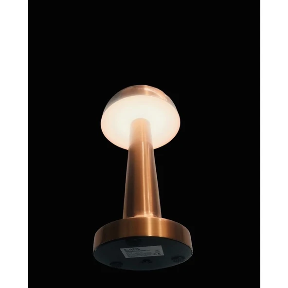 Cata Ct-8430 Retro Bakır Dokunmatik Şarjlı Led Masa Lambası - Resim 3