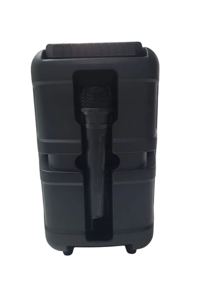 EXENAR Bluetooth Hoparlör Speaker Karaoke Mikrofonlu 10W 8 inç RGB Işıklı - Resim 4