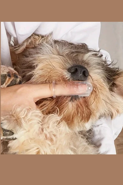 1 Adet-Silikon Evcil Hayvan Parmak Diş Fırçası – Köpek & Kedi Ağız Bakımı, Saklama Kabı Dahil - 2