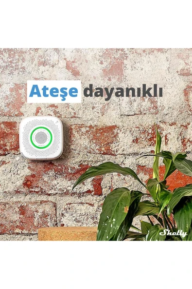 Shelly GAS Akıllı CNG Gaz Dedektörü - 7