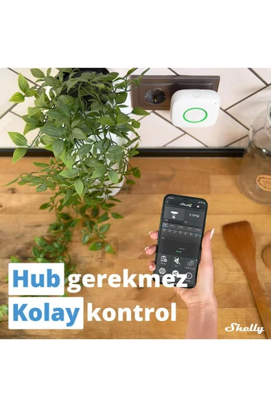 Shelly GAS Akıllı CNG Gaz Dedektörü - 5