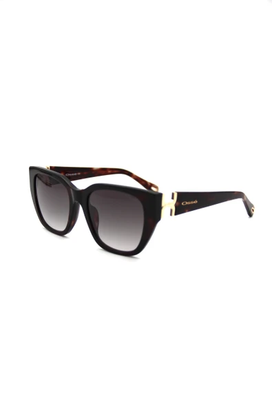 OSSE OS 3776 C02 KADIN GÜNEŞ GÖZLÜĞÜ