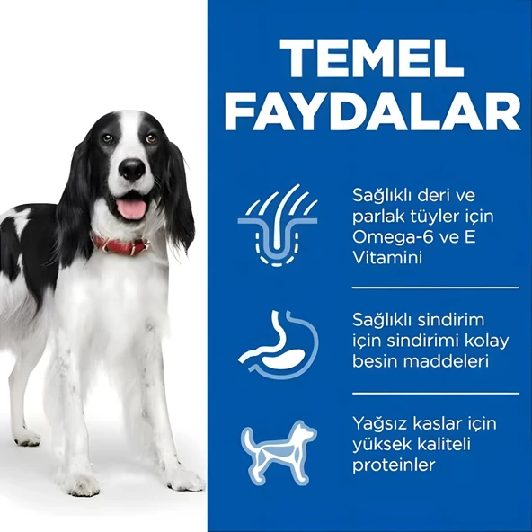 Hills Biftekli Konserve Yetişkin Köpek Maması 370gr - 2