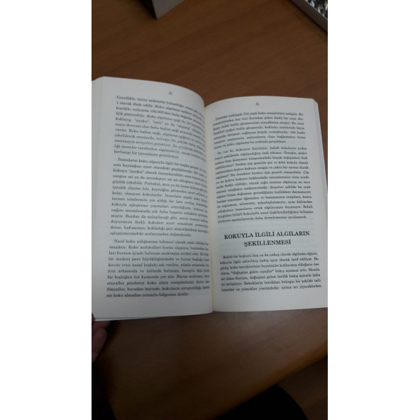 Algı Gerçektir - 5