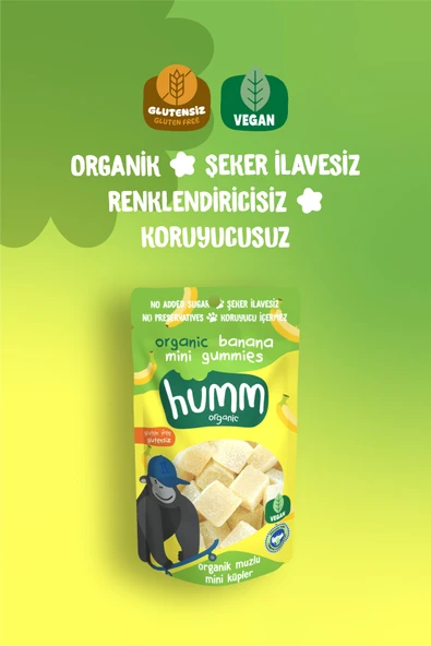 Humm Organic Organik Glutensiz Vegan Muzlu Mini Küpler 30g X 3 Adet - Resim 2