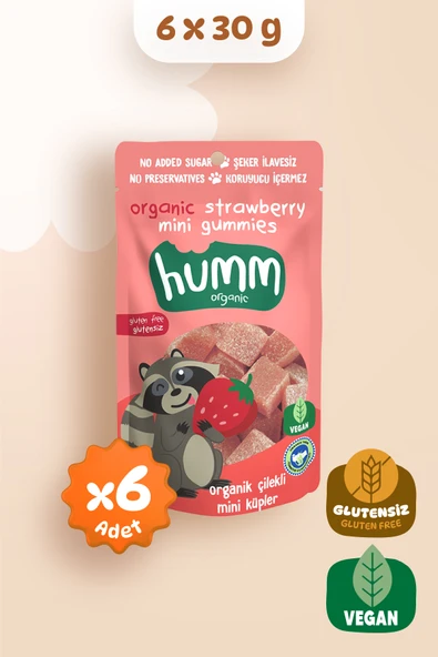 Humm Organic Organik Glutensiz Vegan Çilekli Mini Küpler Atıştırmalık Paketi - 6 Adet ürün görseli