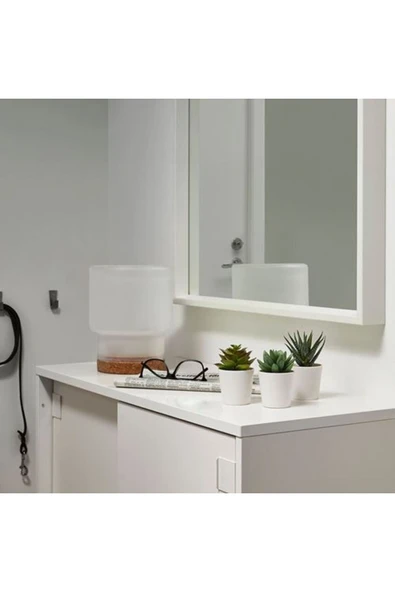 IKEA Fejka Saksılı Yapay Bitki, 6 Cm - Resim 6