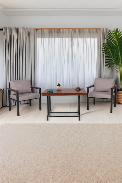 NEOKAS Bahce Mobilyası, Modern Balkon Mobilyası, Kafe Oturma Takımı, Teras Koltugu, 1+1+M - Resim 2