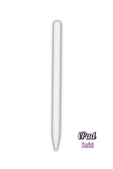 iPad Avuçiçi Algılamayan 1. Nesil Elma Tablet Kalemi ürün görseli 1