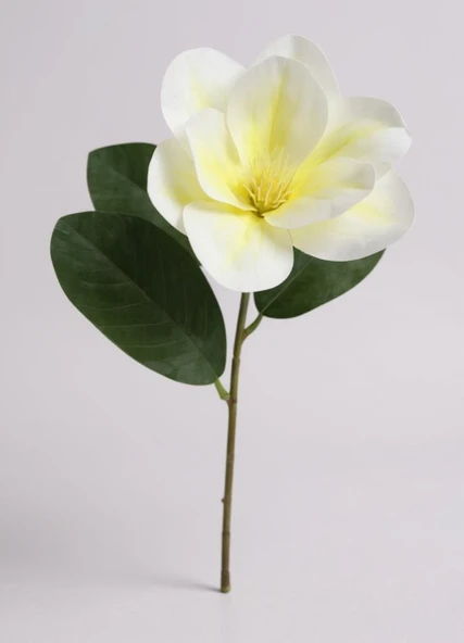 Yapay Çiçek 3Dallı Buket Manolya Gerçek Dokulu Magnolia 32cm KREM - Resim 6