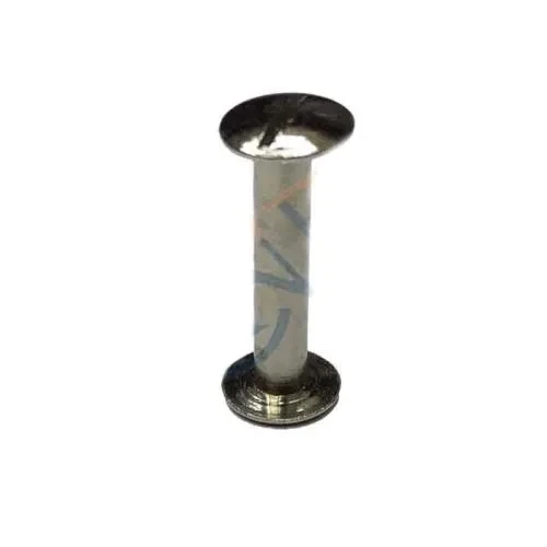 Cilt Menü, Katalog, Kartela Vidası, 20 Mm - Nikel, 1 Adet - 1