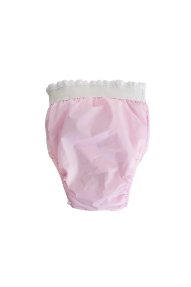 Babyjem Alıştırma Külodu 3 Yaş Pembe - 4