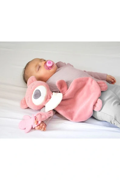 Babyjem Diş Kaşıyıcılı Uyku Arkadaşım Ayıcık Gül Kurusu