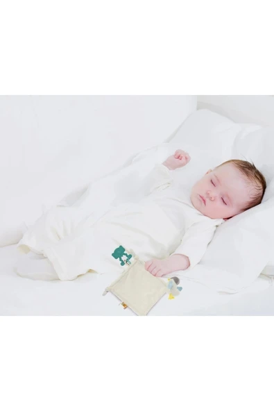 Babyjem Diş Kaşıyıcılı Uykucu Birdy 858 Mavi - Resim 5