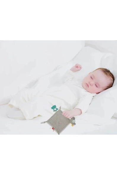 Babyjem Diş Kaşıyıcılı Uykucu Birdy 858 Kahve - Resim 5