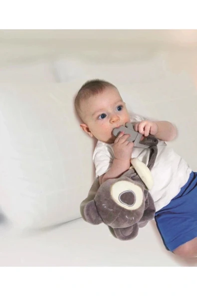 Babyjem Diş Kaşıyıcılı Uykucu Ayıcık 680 Gri - 3