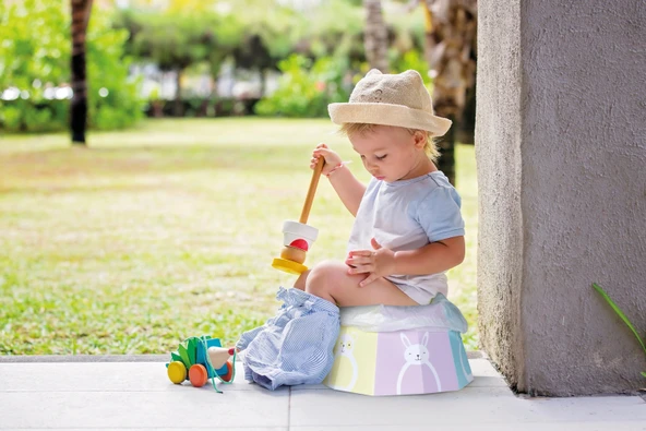 Babyjem Karton Seyahat Lazımlığı Desenli