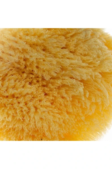 Babyjem Doğal Deniz Süngeri - 4