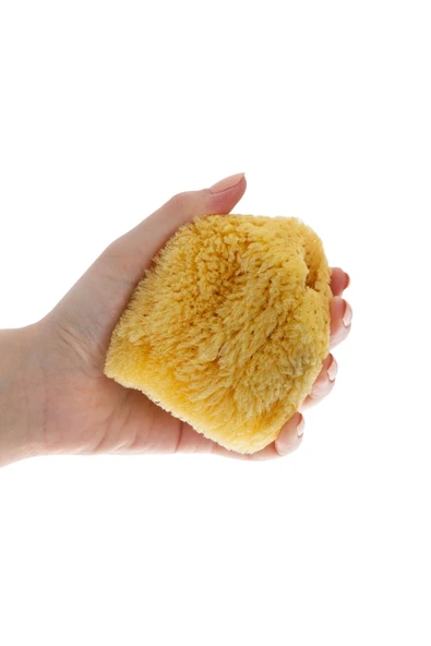 Babyjem Doğal Deniz Süngeri - 3