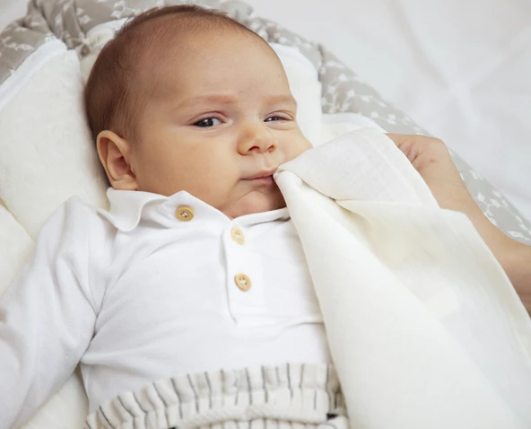 Babyjem Bürümcük Mendil 4'lü - 2