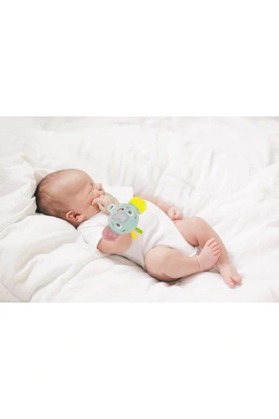 Babyjem Ahşap Halkalı Sevimli Fil Dişlik Yeşil - 2