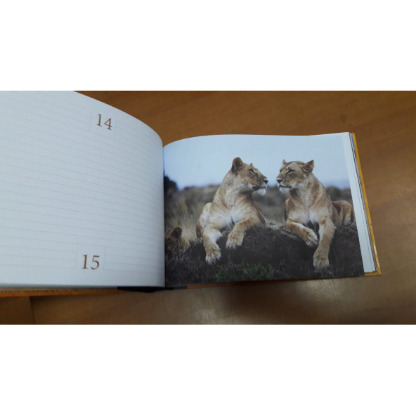 Sende Tanık Ol (Süresiz Ajanda) Engin Altan Düzyatan - 3