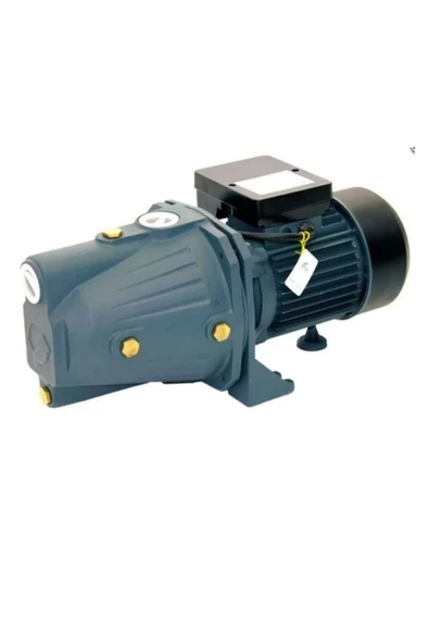 Rainpump SGJW110 Santrifuj Pompa 1.5Hp Bakır Sargılı