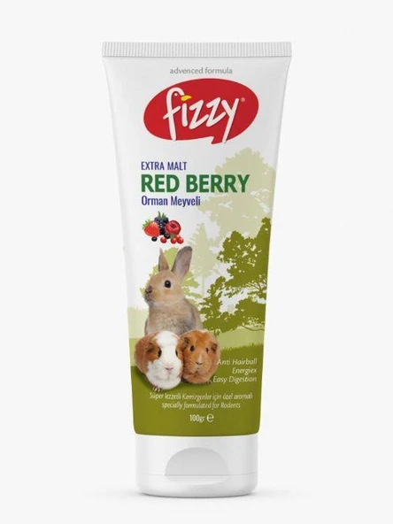 Fizzy Kemirgen Red Berry Paste 100gr ürün görseli