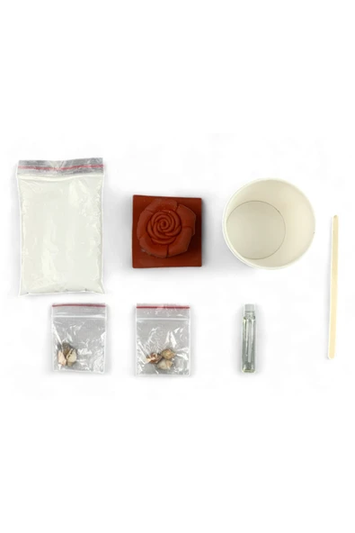 Lapin Deney Atölyesi Fosil Taşı – Kendin Yap DIY Deney Bilim Seti - 2