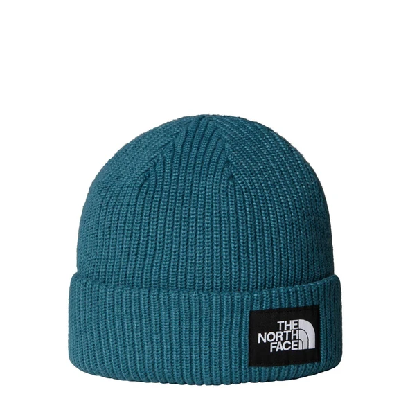 The North Face SALTY LINED BEANIE Unisex Bere NF0A8CGZBQ51 ürün görseli