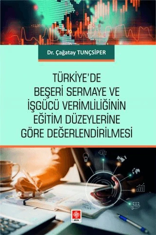 Türkiye'de Beşeri Sermaye ve İşgücü Verimliliğinin - 1