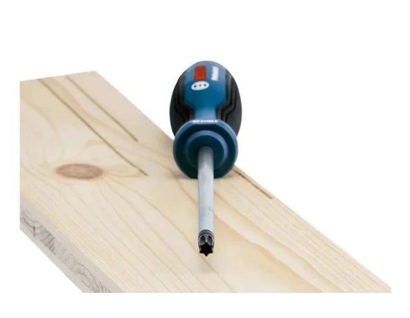 BOSCH PROFESYONEL TORX TORNAVİDA SETİ 6 PARÇA - 2