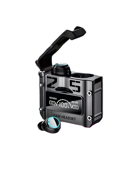 M25-KABLOSUZ KULAKLIK ürün görseli 1