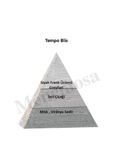 Tempo Blıss + Tempo Blıss Kadın Parfüm Edp  Woody - Mnmstem2 - 2