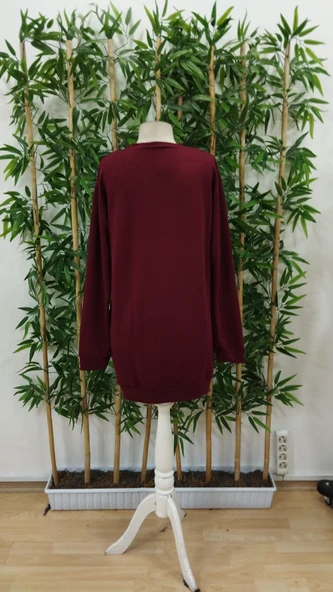 Kadın Uzun Kollu Bisiklet Yaka Ayı Desenli Viskon Iki Iplik Elbise - Resim 5