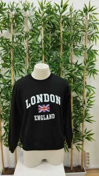 Erkek Uzun Kollu Bisiklet Yaka Yazı Baskılı Iki Iplik Bluz - Resim 4