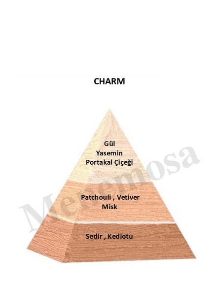 Charm + Charm Unisex Parfüm Edp Floral - Mnmschrm2 - Resim 2