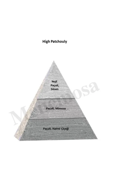 High Patchouly + High Patchouly Unisex Parfüm Edp Woody - Mnmshp2 - Resim 2