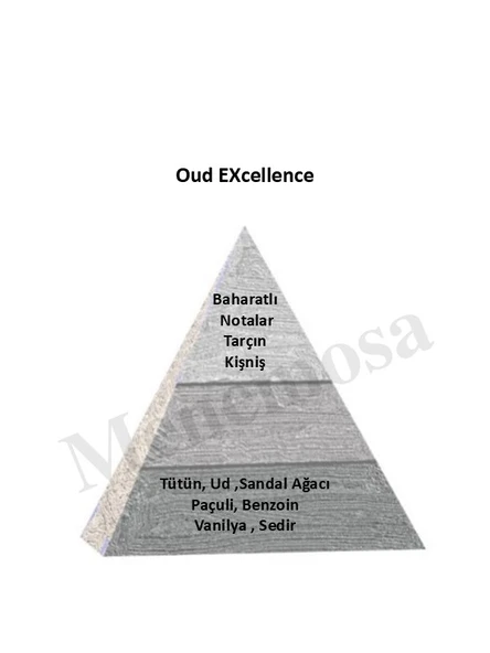 Oud Exc + Oud Exc  Unısex Parfüm Edp Woody - Mnmsoudx2 - Resim 2