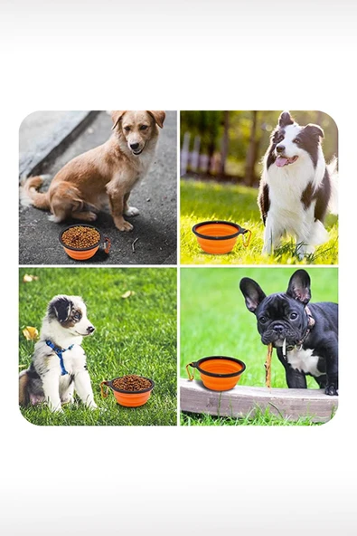 Taşıma Aparatlı Katlanabilir Seyahat Silikon Kedi Köpek Mama ve Su Kabı,12 oz 350ml