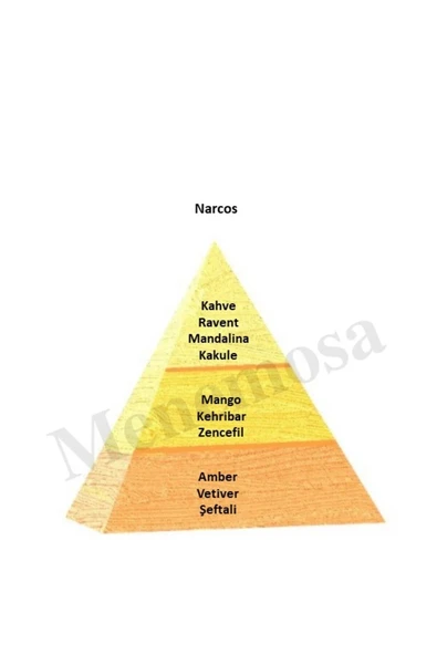 Narcos + Narcos Unisex Parfüm Edp  Oriental - Mnmsnrs2 - Resim 2