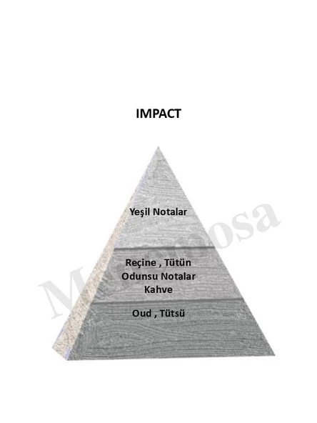 Impact + Impact Unisex Parfüm Edp Woody - Mnmsımp2 - Resim 2