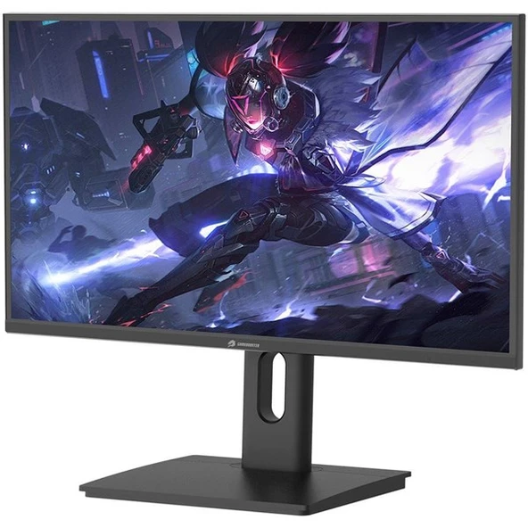 GAMEBOOSTER 27" SS IPS GB-2729FF 0.5MS 280HZ HDMI-DP PIVOT GAMING MONİTÖR - 3