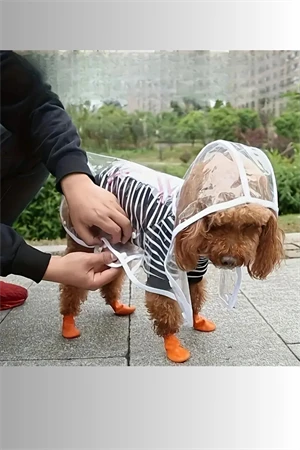 1 Adet-Pomeranian Şeffaf Köpek Yağmurluğu – PVC, Su Geçirmez, Tüm Irklar İçin Uygun - Resim 4