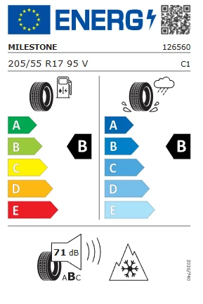 Milestone 205/55 R17 95V Reinf. Car. Winter Kış Lastiği 2025 Üretim - Resim 3